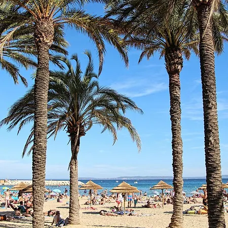 酒店 Le Rabelais 3*